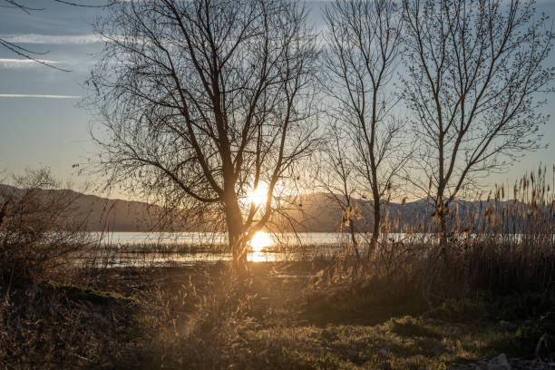 istock Winter Sunsets in Utah Lake 2147593870
