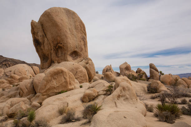 istock Unusual rock formations at Joshua Tree National Park 2147595271