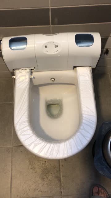 Automatic Toilet Seat