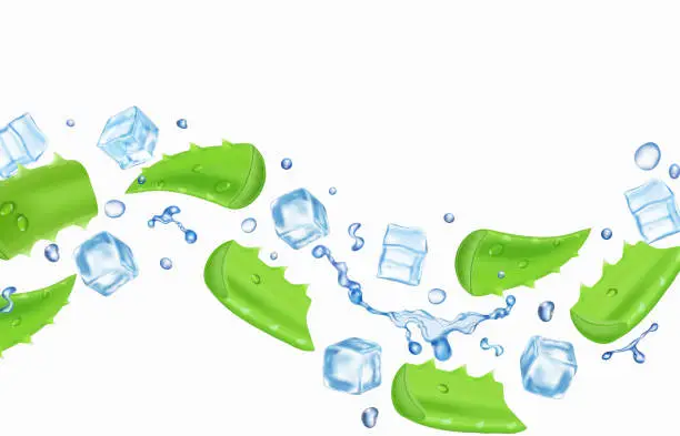 Vector illustration of Aloe in water splash and ice cubes. Aloe vera