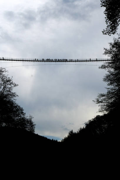 istock Geierlay Suspension Bridge 2147597129