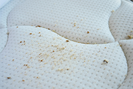 close up shot of dirty mattress .