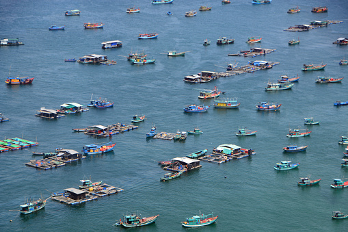 Fishing industry : fishing village on floating rafts. Fishing and collecting fish in a large bassin on a platform of wood.