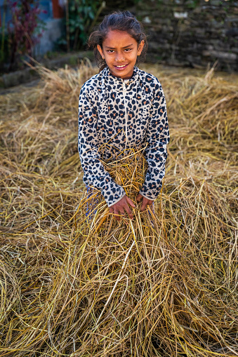 Happy Nepali young girl playing in a straw in a village in Annapurna Conservation Area. The Annapurna region is in western Nepal where some of the most popular treks (Annapurna Sanctuary Trek, Annapurna Circuit) are located. Peaks in the Annapurnas include 8,091m Annapurna I, Nilgiri and Machhapuchchhre. The Annapurna peaks are among the world's most dangerous mountains to climb.