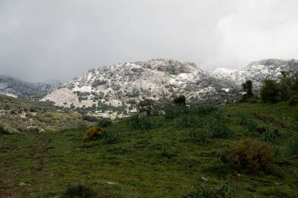 istock rustic landscape of spain 2147612245