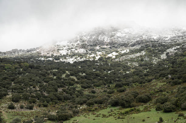 istock rustic landscape of spain 2147612565