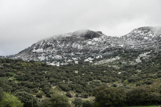 istock rustic landscape of spain 2147613081