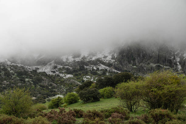 istock rustic landscape of spain 2147613108