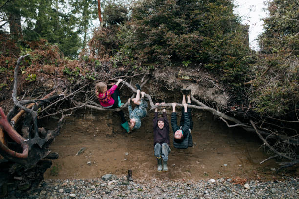 Children Climbing and Playing on Tree Roots