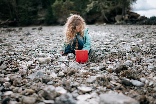 An elementary aged Caucasian girl searching for steamer clams on the beach of the Puget Sound in Washington state, USA.