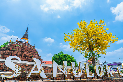 Text letter light Phitsanulok city and Golden Cassia fistula flowers at Park in Phra Chedi Luang in Temple (Wat Ratchaburana) is a major tourist attraction in Phitsanulok Thailand.daytime blue sky