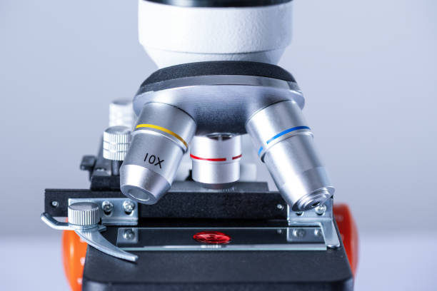 istock Blood sample on a glass slide under a microscope in the laboratory. 2147617770