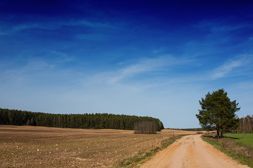 Rural picturesque landscape, a dirty sandy road and arable fields in early spring, picturesque sky, Poland, Podlasie