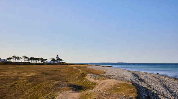 Beautiful view of tranquil beach with grassy landscape and seascape against clear blue sky during sunny day at Denmark