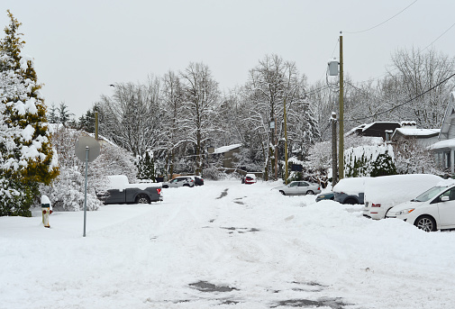 Looking out at an urban street after a heavy snowfall in Greater Vancouver, B.C.