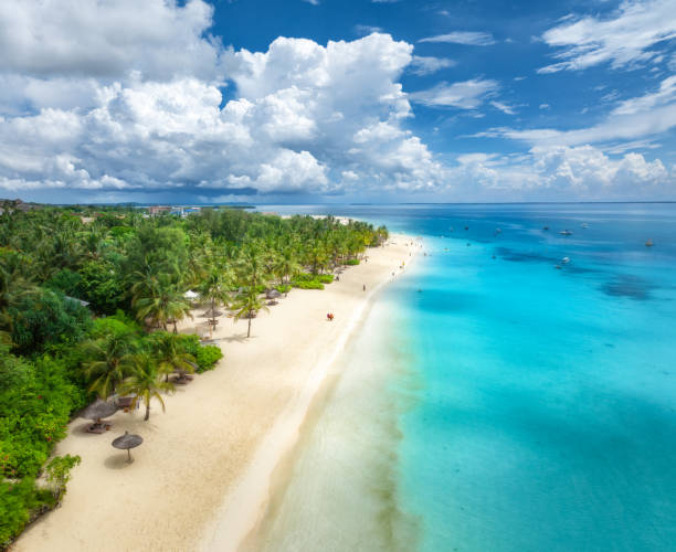 istock Aerial view of empty white sandy beach with palm trees, umbrellas, blue ocean, sky with clouds at sunset. Summer in Kendwa, Zanzibar island. Tropical landscape. Clear sea with azure water. Top view 2147622977