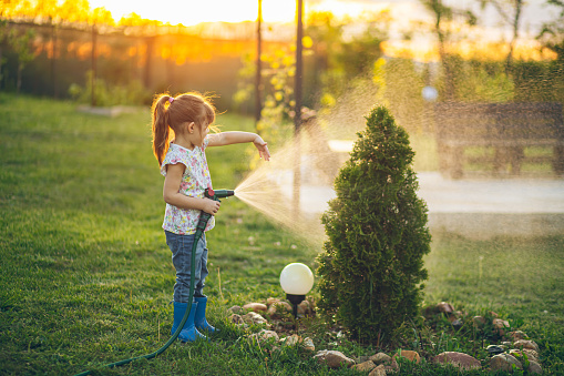 Little girl holding a hose and watering her plants