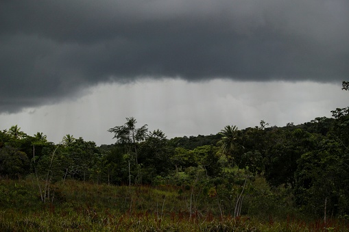 Heavy rain clouds in a reserve of Atlantic forest in the Northeast of Brazil.