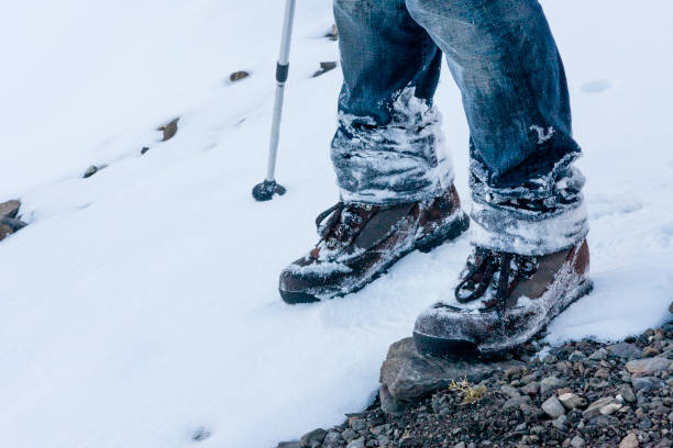 istock Grindelwald, Jungfrau Region, Switzerland 2147630880