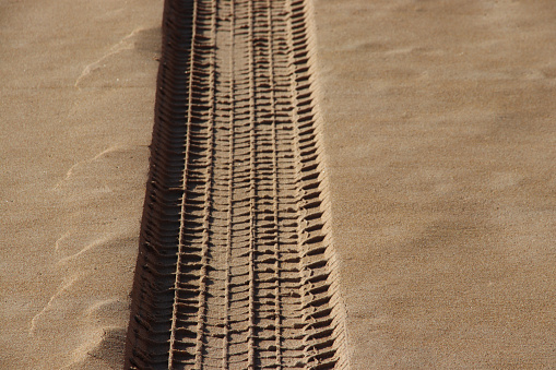 Motorcycle tire tracks on the beach