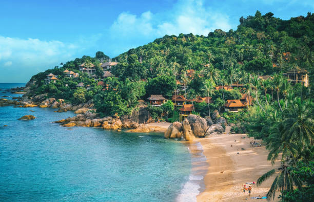 Panoramic view of tropical beach with coconut palm trees. Koh Samui