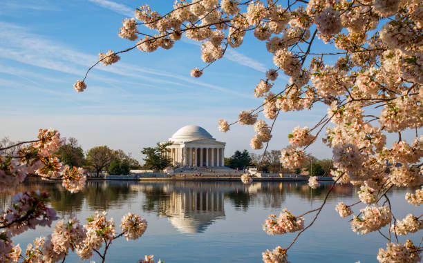 istock Jefferson monument in Washington DC, 2024 2147631271