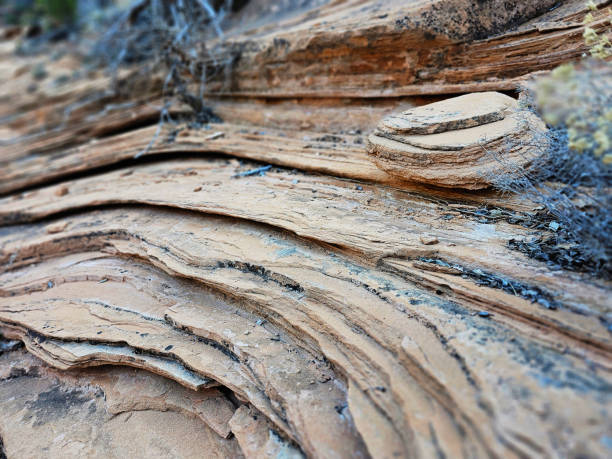 hiking the observation point trail in zion national park in the usa