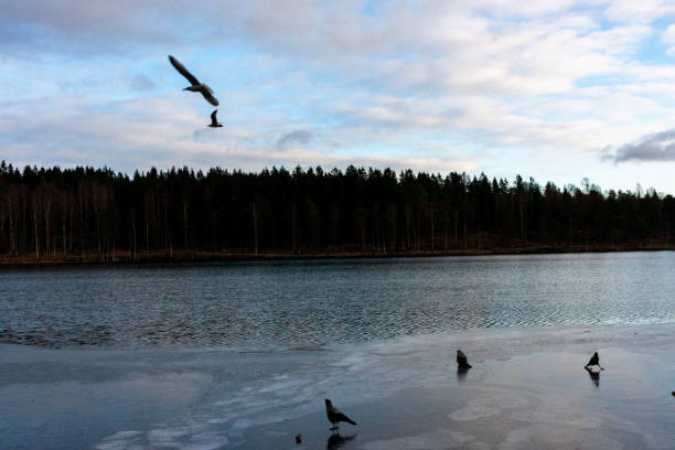 istock Lake Sognsvann, Oslo, Norway 2147634276
