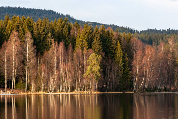 Lake Sognsvann, Oslo, Norway