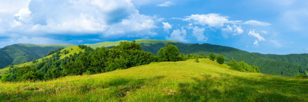 istock Carpathians mountains landscapes from green meadow 2147635819