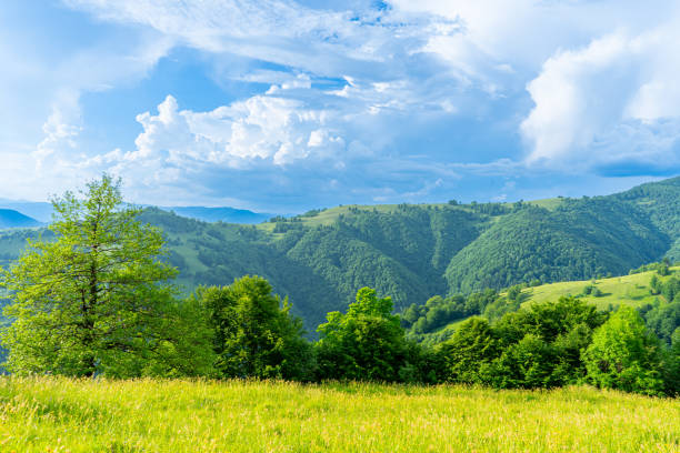 istock Carpathians mountains landscapes from green meadow 2147635825