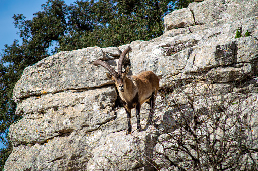 Hiking in the Torcal de Antequerra National Park, Andalusia, Malaga, Spain.