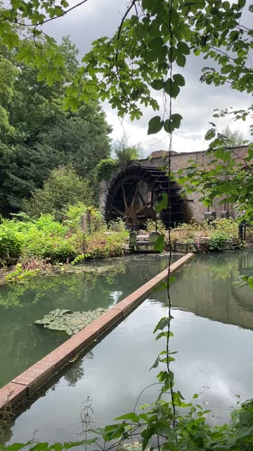 ancient mill wheel rotates under the pressure of a flowing river,makes a characteristic sound, landscape in the forest