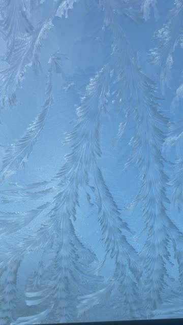 Stunning natural winter ice patterns on a frozen car window, Wonderful snowflakes on the glass