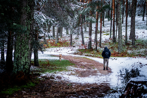 Abundant snow, nature, snowy landscape, rural tourism, ecotourism, environmental care and respect.