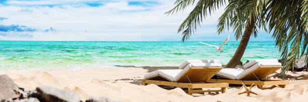 istock Two deck chairs under the palm tree on beautiful sand beach with copy space. Summer vacation background. 2147642536