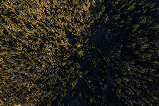 Shot with a DJI Mavic Air 2S drone. This is a Birdseye view from 1000 feet above ground level in sequoia National Forest