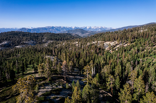 Overlooking Sequoia National Forest from approximately 150 feet above ground level. Shot with a DJI Mavic Air 2S drone
