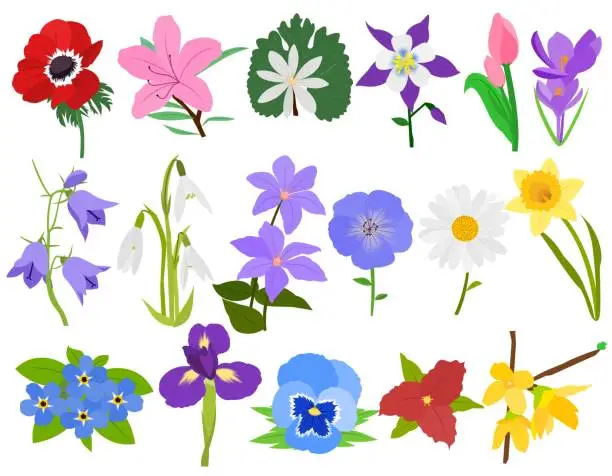 Vector illustration of Set of spring flowers illustrations