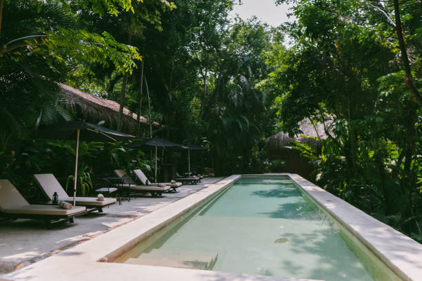 istock view of swimming pool in the jungle 2147650231