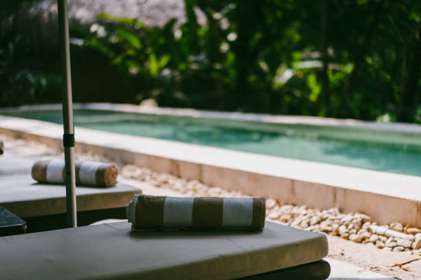 view of swimming pool in the jungle. High quality photo