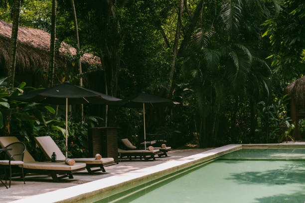 istock view of swimming pool in the jungle 2147651006