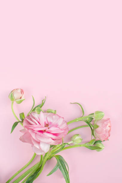 istock Flower and card mock-up 2147661419