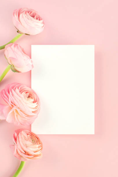 istock Flower and card mock-up 2147661426