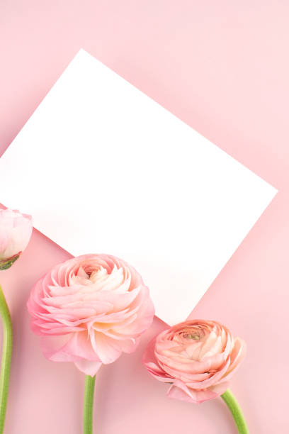 istock Flower and card mock-up 2147661428