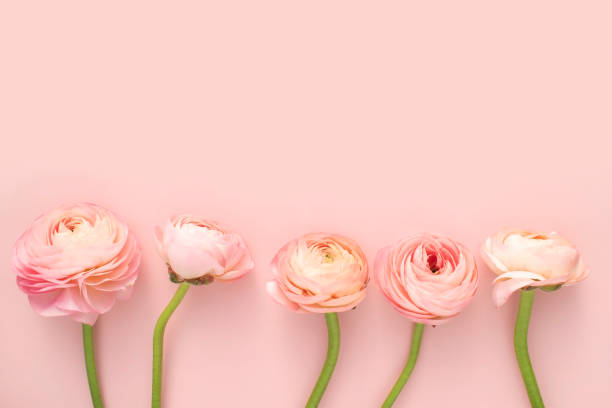 istock Flower and card mock-up 2147661434