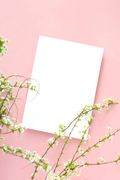 istock Flower and card mock-up 2147661444