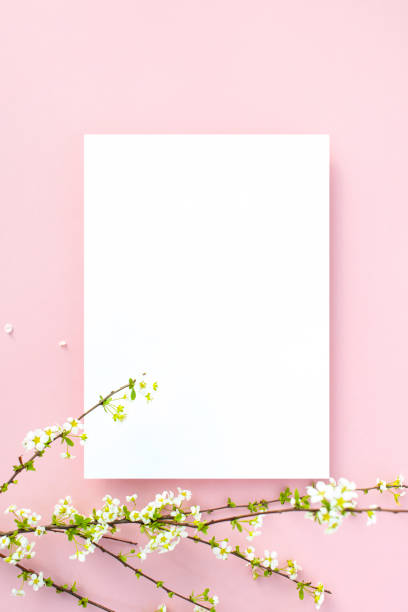 istock Flower and card mock-up 2147661445
