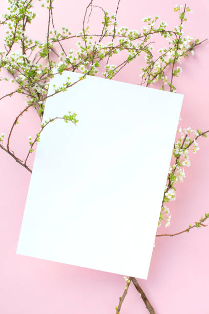 istock Flower and card mock-up 2147661452
