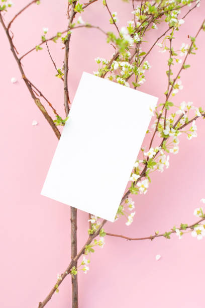 istock Flower and business card mock-up 2147661456